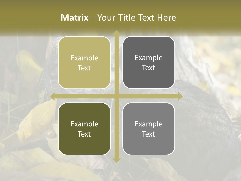 A Cat Laying On The Ground Next To A Tree PowerPoint Template