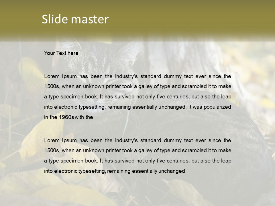 A Cat Laying On The Ground Next To A Tree PowerPoint Template