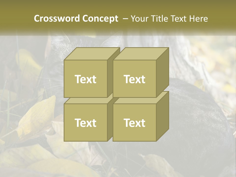 A Cat Laying On The Ground Next To A Tree PowerPoint Template