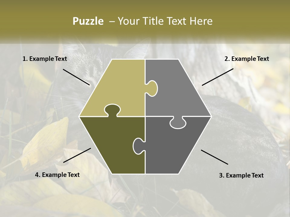 A Cat Laying On The Ground Next To A Tree PowerPoint Template