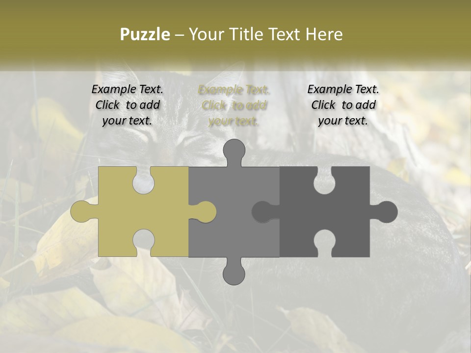 A Cat Laying On The Ground Next To A Tree PowerPoint Template