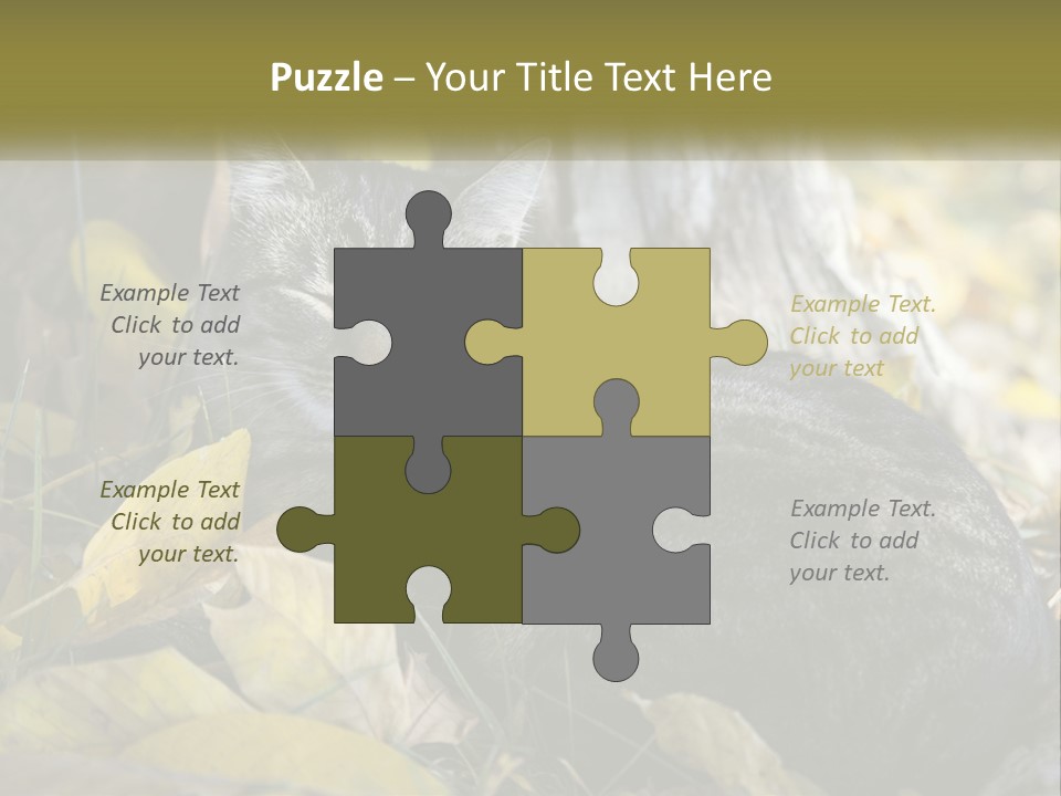 A Cat Laying On The Ground Next To A Tree PowerPoint Template