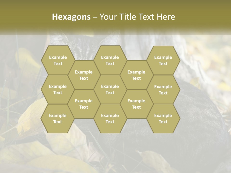 A Cat Laying On The Ground Next To A Tree PowerPoint Template