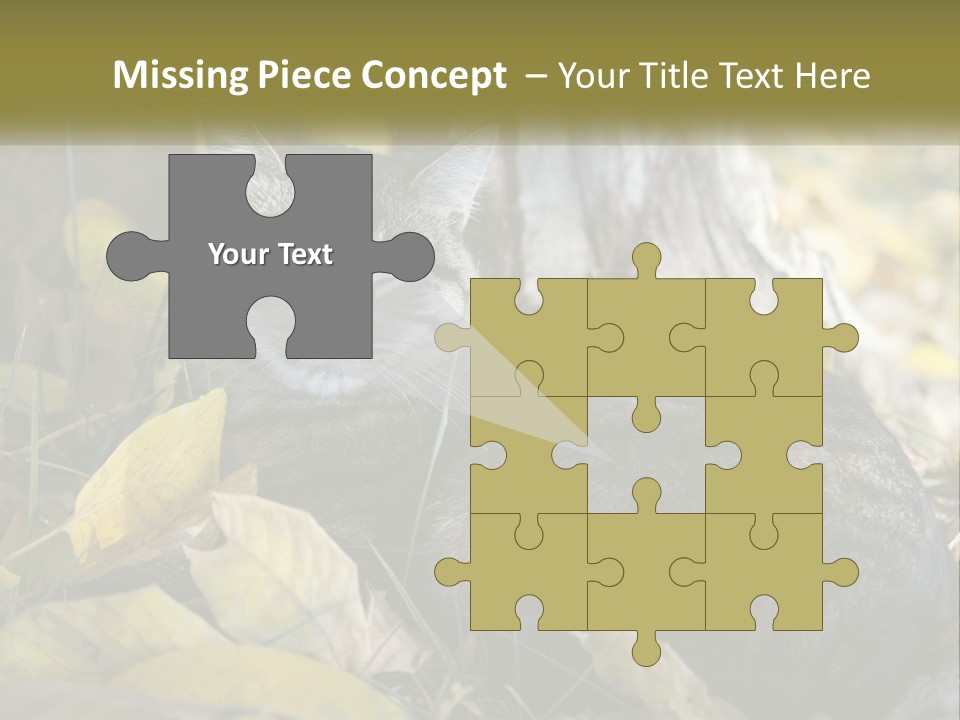 A Cat Laying On The Ground Next To A Tree PowerPoint Template