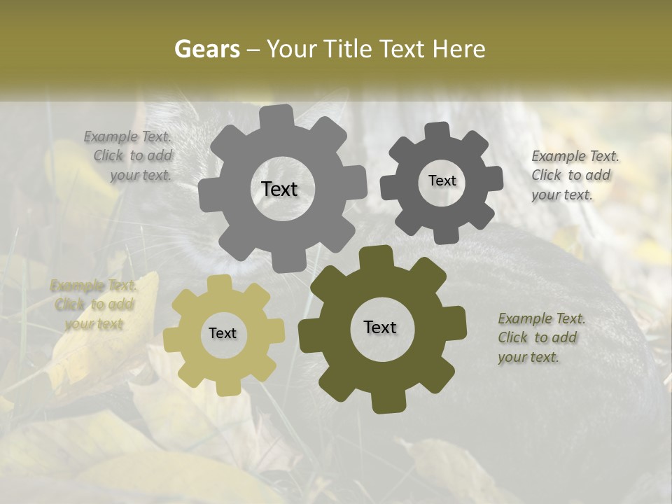 A Cat Laying On The Ground Next To A Tree PowerPoint Template