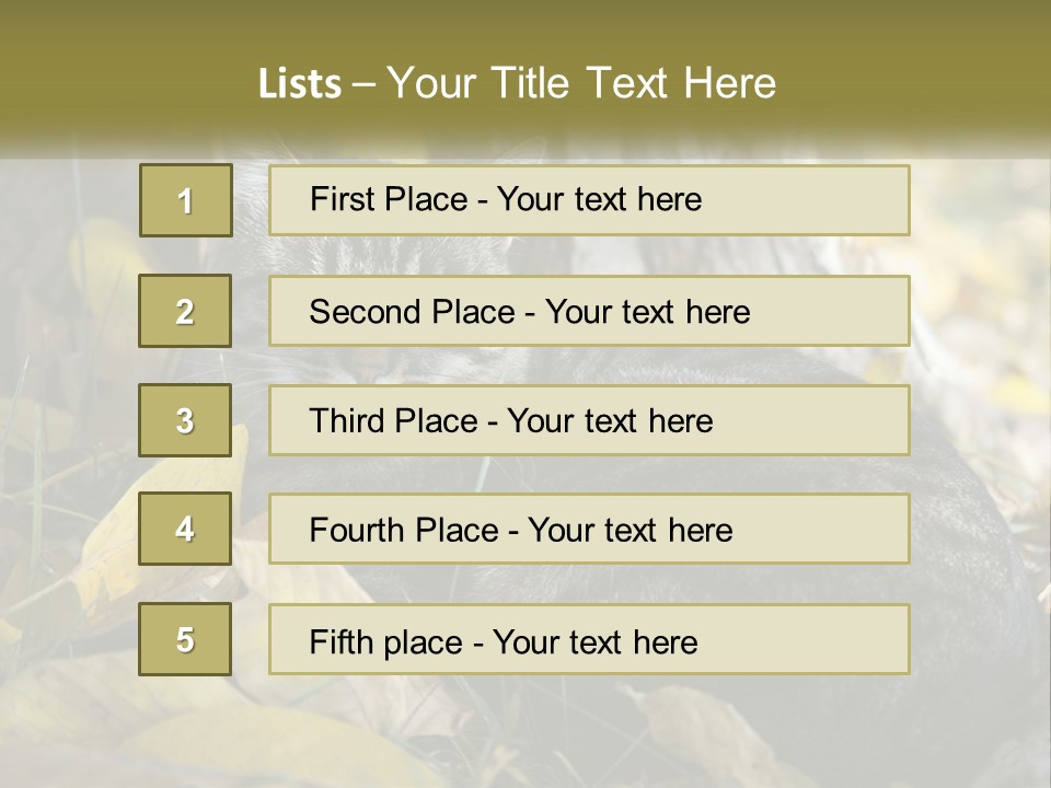 A Cat Laying On The Ground Next To A Tree PowerPoint Template