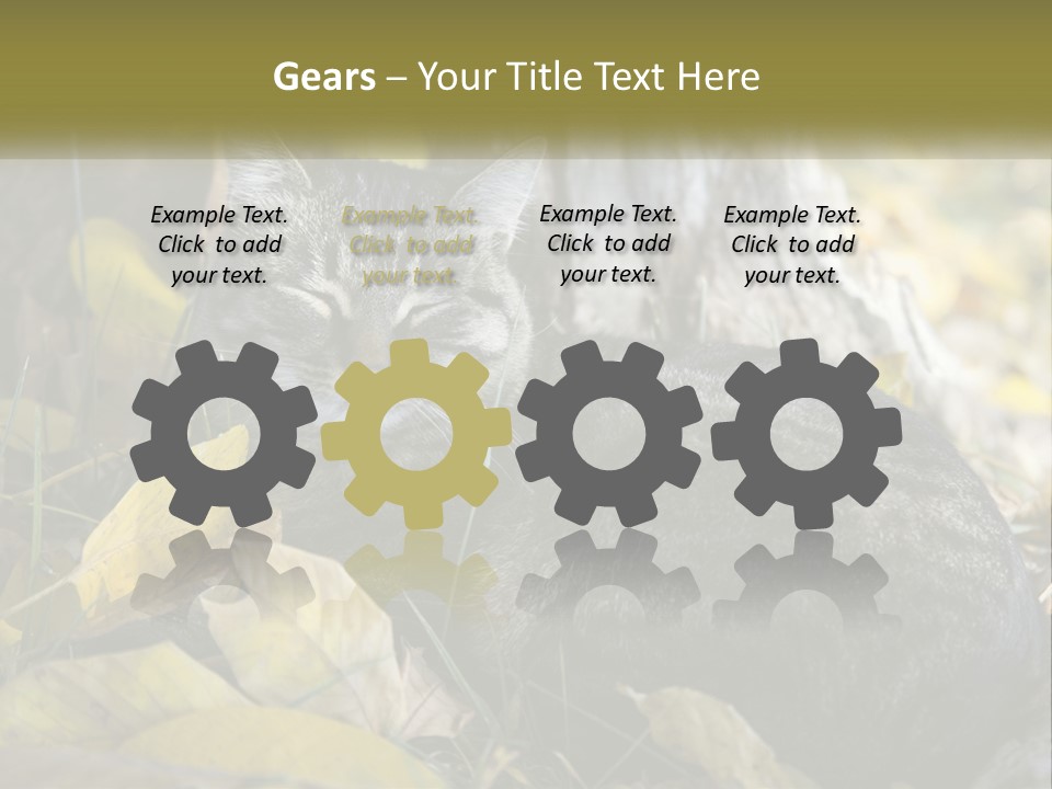 A Cat Laying On The Ground Next To A Tree PowerPoint Template