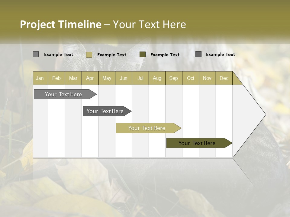 A Cat Laying On The Ground Next To A Tree PowerPoint Template