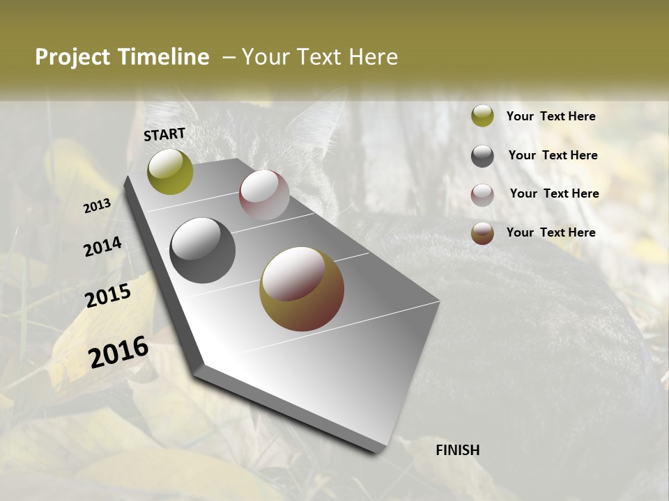 A Cat Laying On The Ground Next To A Tree PowerPoint Template