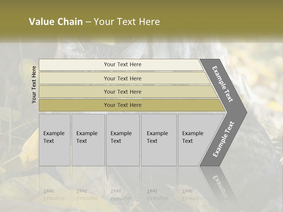 A Cat Laying On The Ground Next To A Tree PowerPoint Template