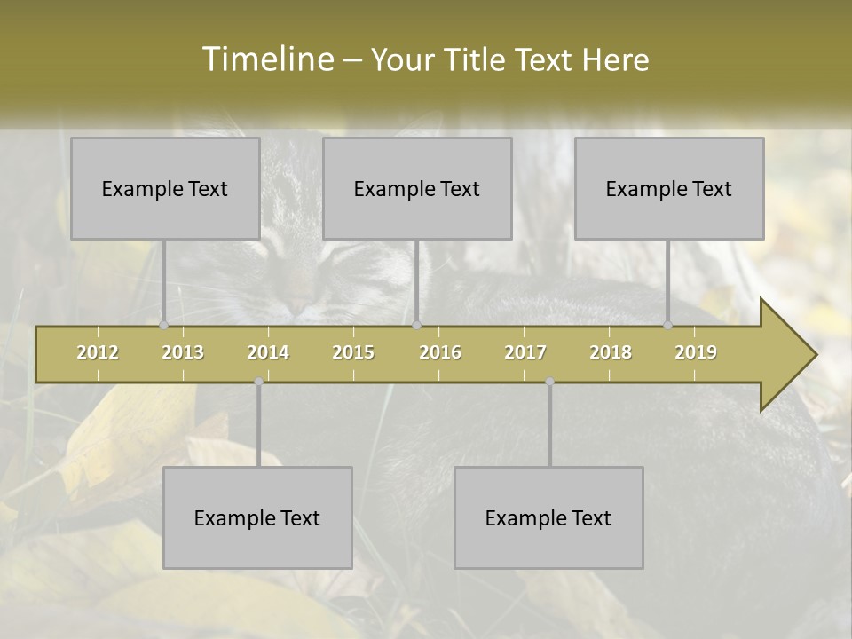 A Cat Laying On The Ground Next To A Tree PowerPoint Template