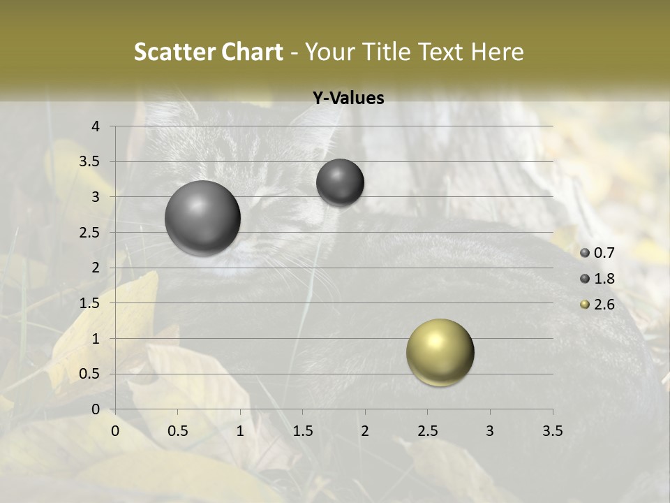 A Cat Laying On The Ground Next To A Tree PowerPoint Template