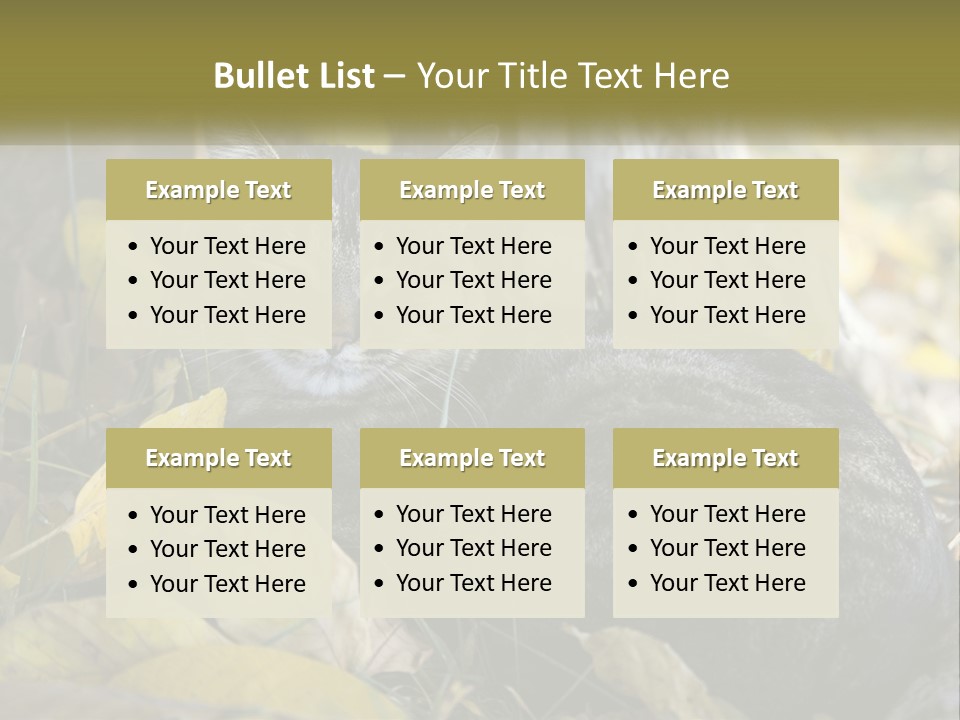 A Cat Laying On The Ground Next To A Tree PowerPoint Template