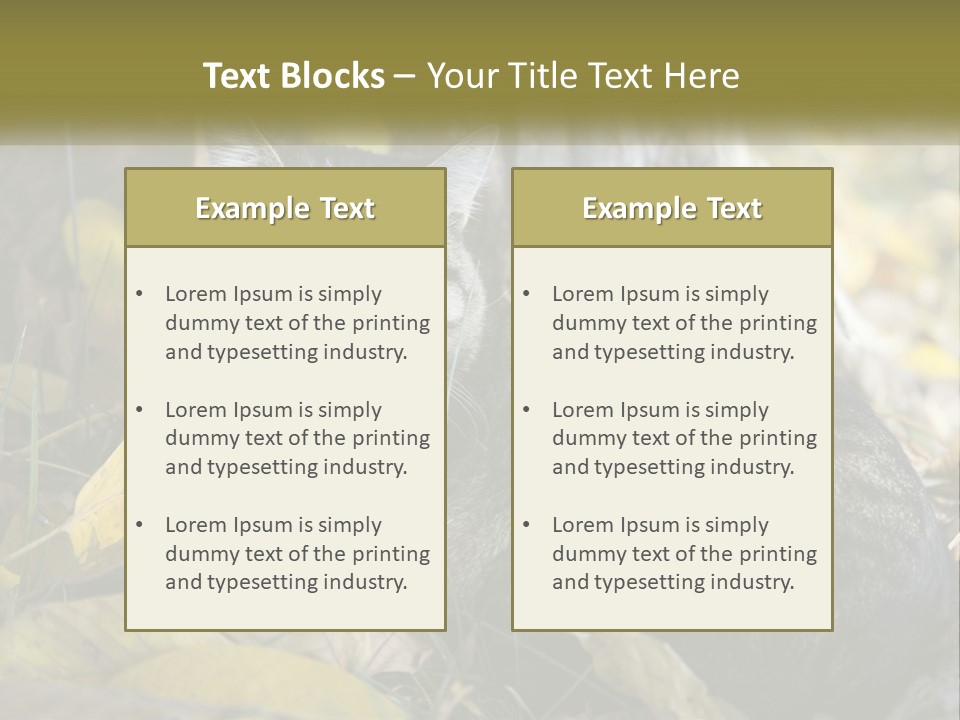 A Cat Laying On The Ground Next To A Tree PowerPoint Template
