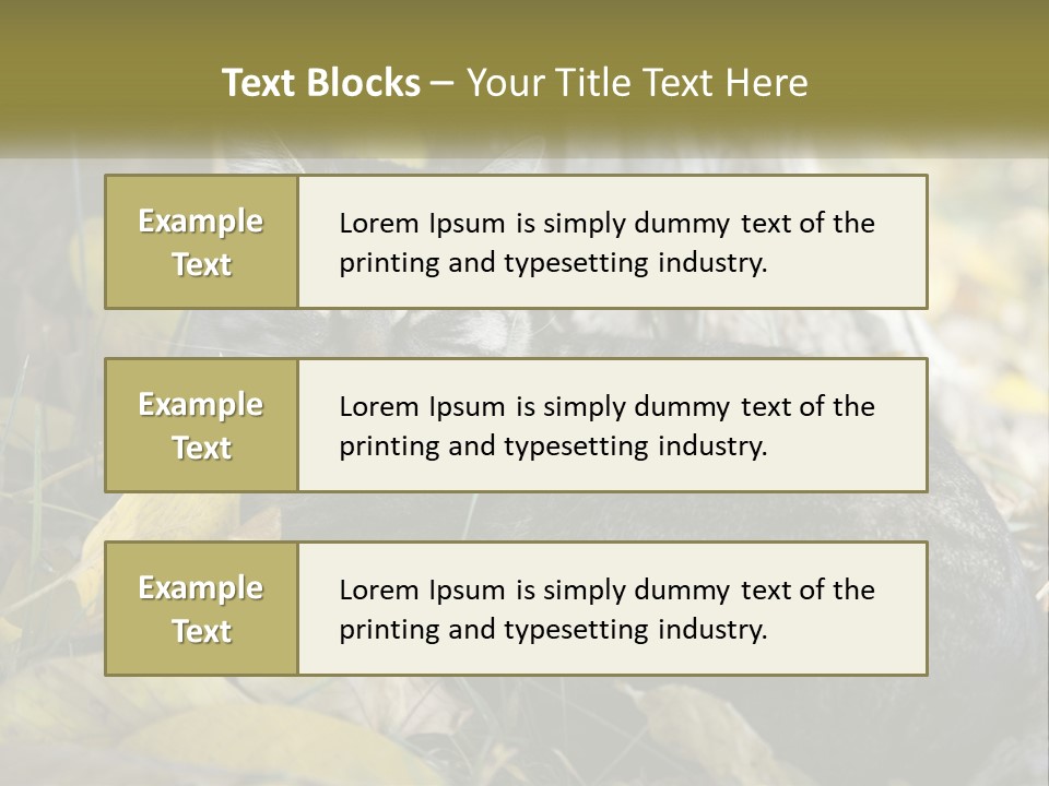 A Cat Laying On The Ground Next To A Tree PowerPoint Template