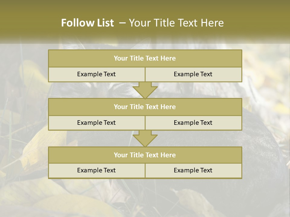 A Cat Laying On The Ground Next To A Tree PowerPoint Template