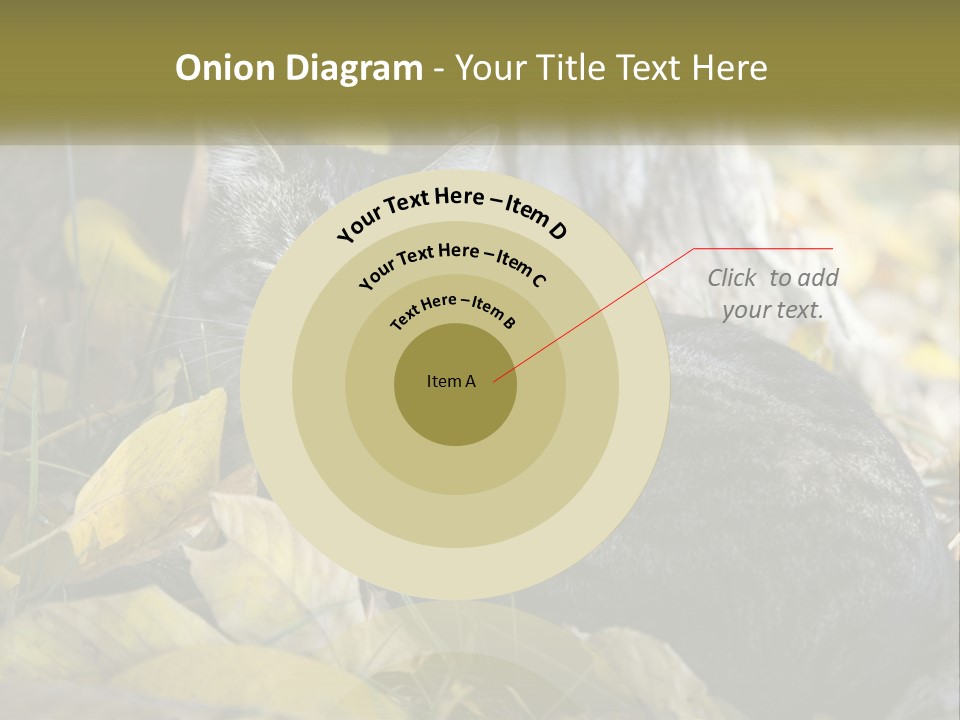 A Cat Laying On The Ground Next To A Tree PowerPoint Template