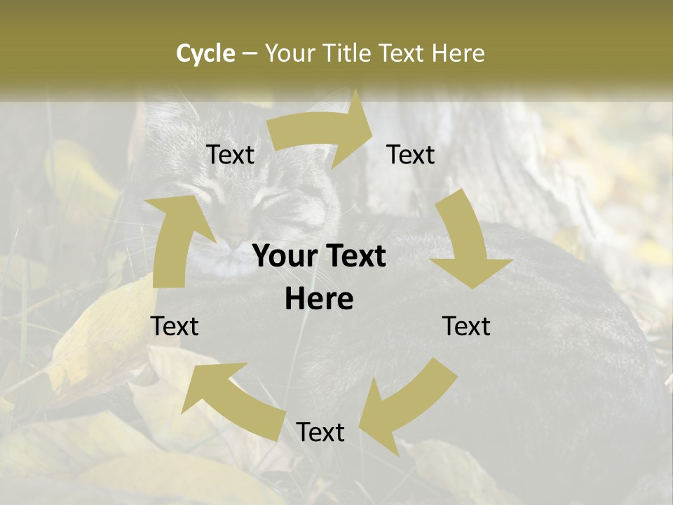 A Cat Laying On The Ground Next To A Tree PowerPoint Template