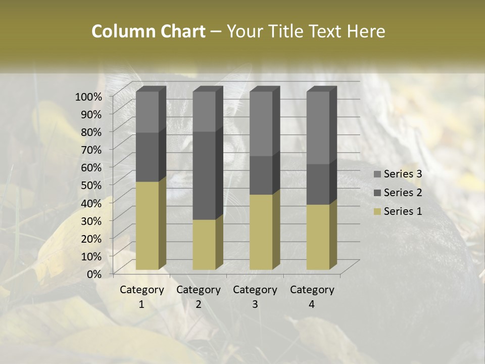 A Cat Laying On The Ground Next To A Tree PowerPoint Template