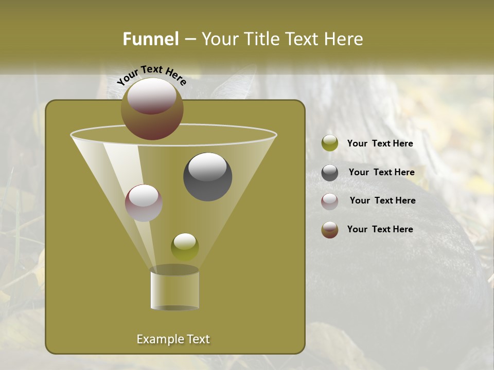 A Cat Laying On The Ground Next To A Tree PowerPoint Template