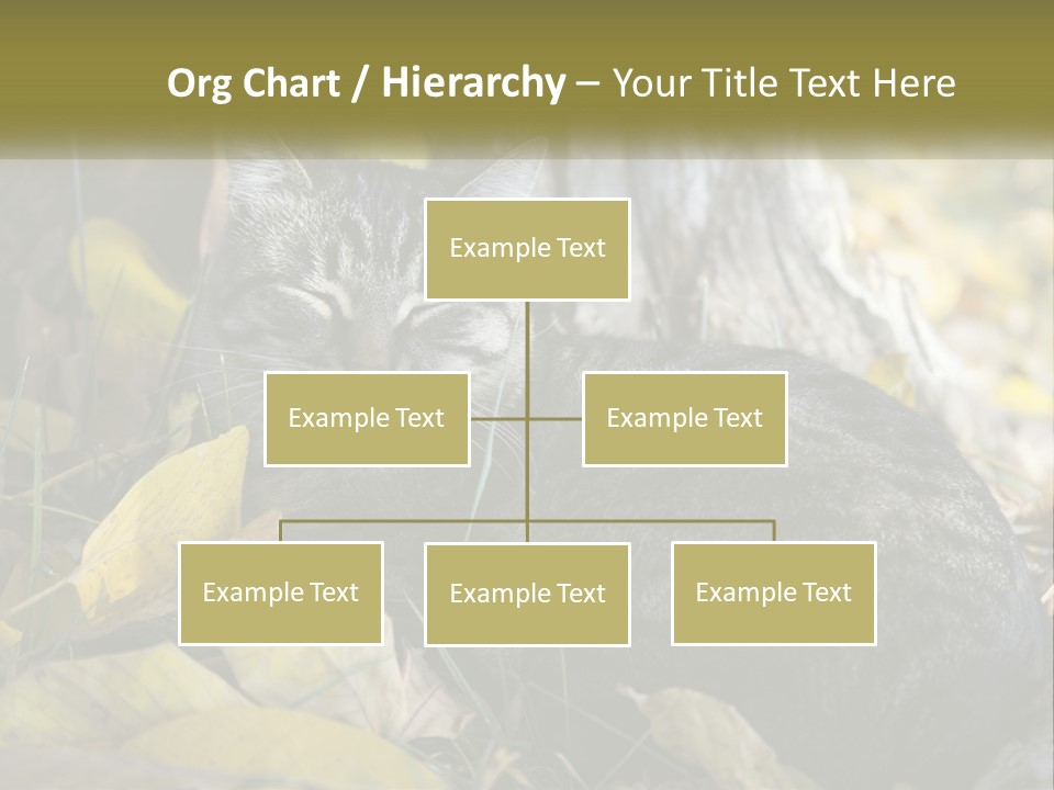 A Cat Laying On The Ground Next To A Tree PowerPoint Template