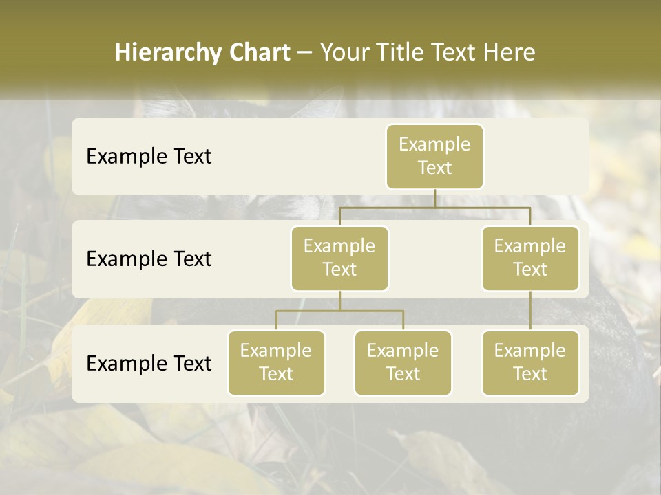 A Cat Laying On The Ground Next To A Tree PowerPoint Template