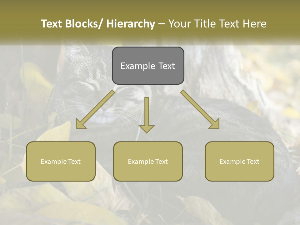 A Cat Laying On The Ground Next To A Tree PowerPoint Template
