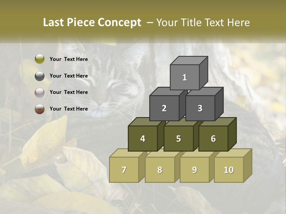 A Cat Laying On The Ground Next To A Tree PowerPoint Template