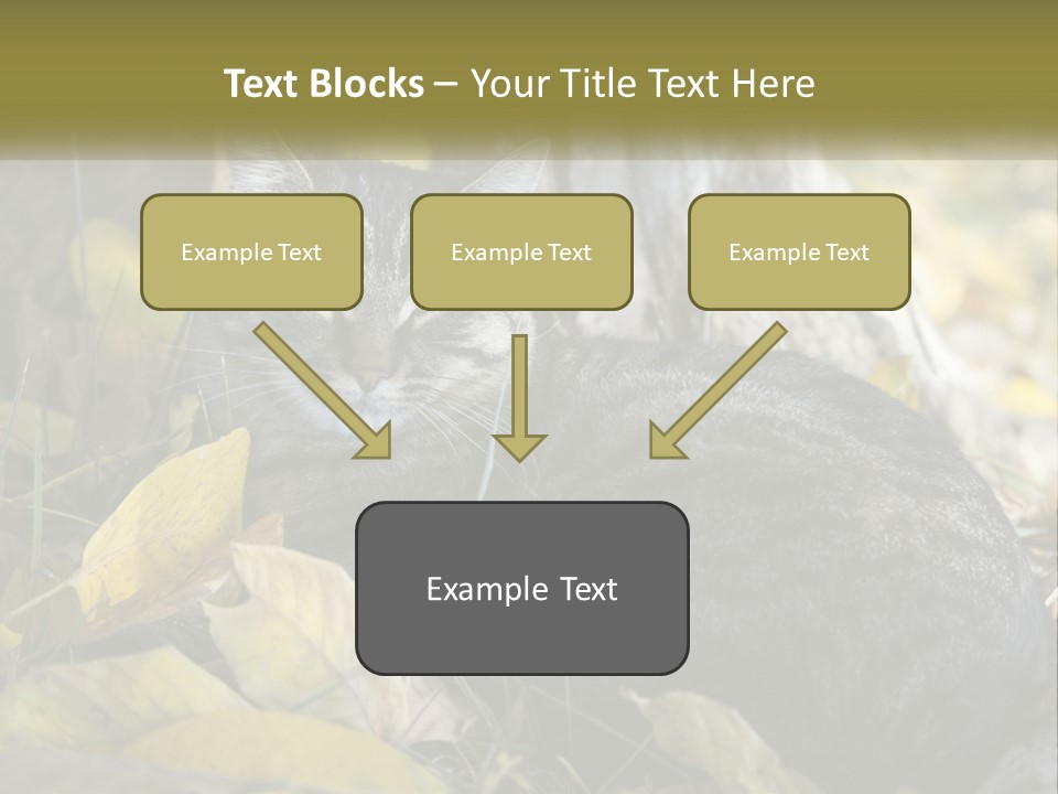 A Cat Laying On The Ground Next To A Tree PowerPoint Template
