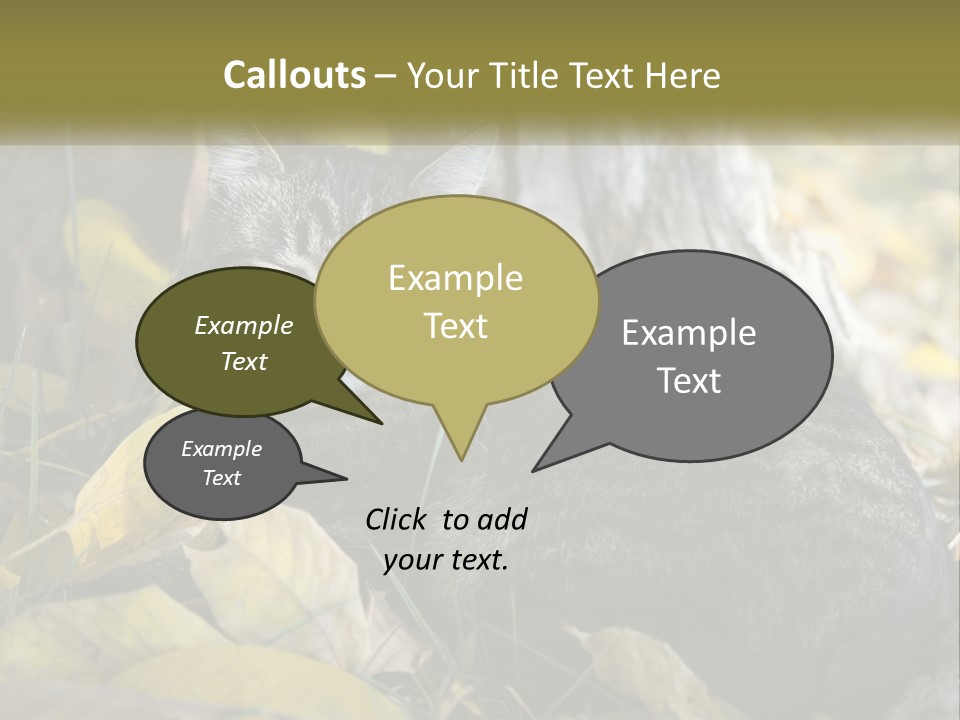 A Cat Laying On The Ground Next To A Tree PowerPoint Template