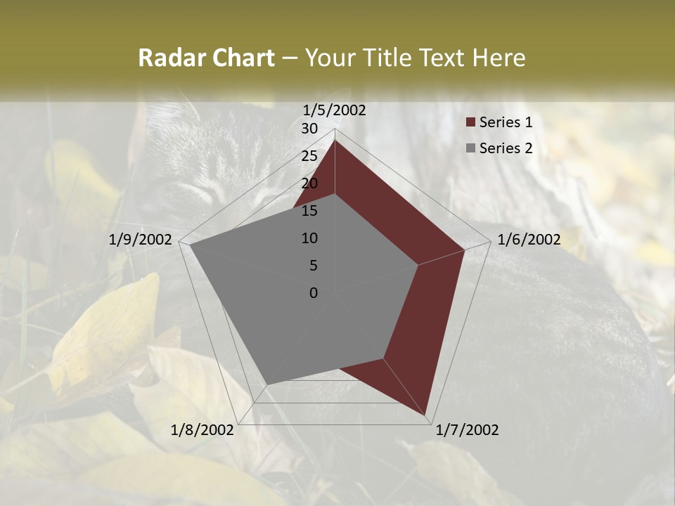 A Cat Laying On The Ground Next To A Tree PowerPoint Template