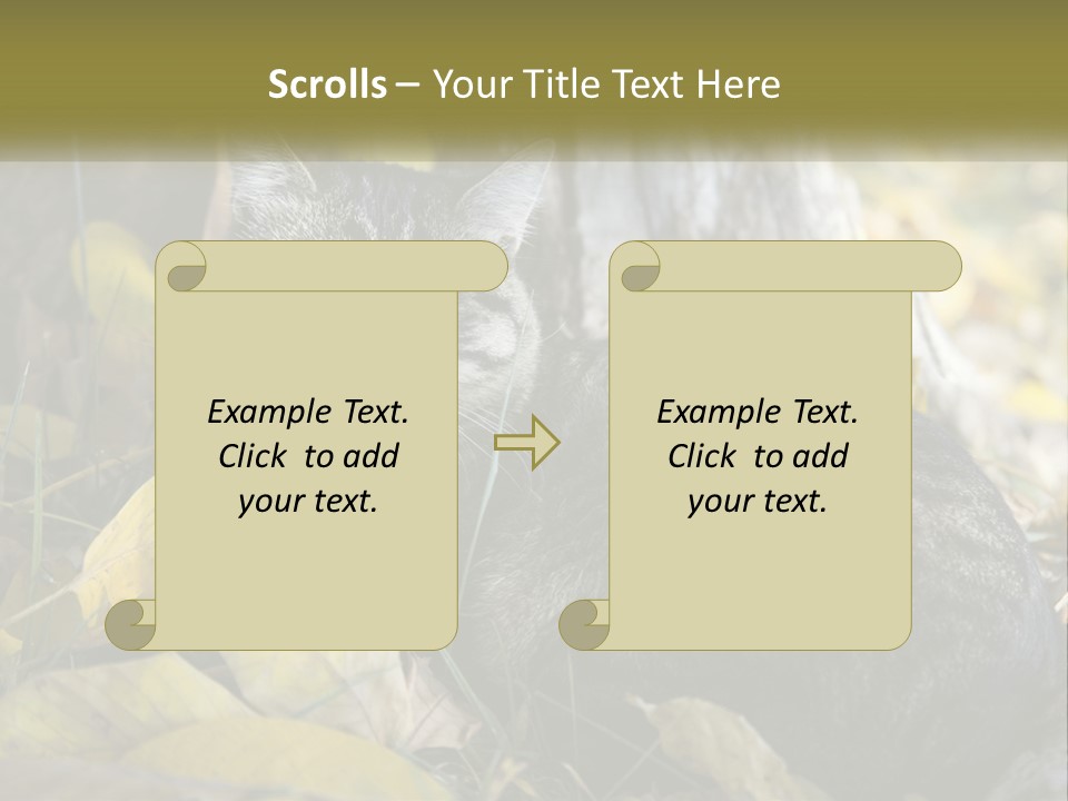 A Cat Laying On The Ground Next To A Tree PowerPoint Template