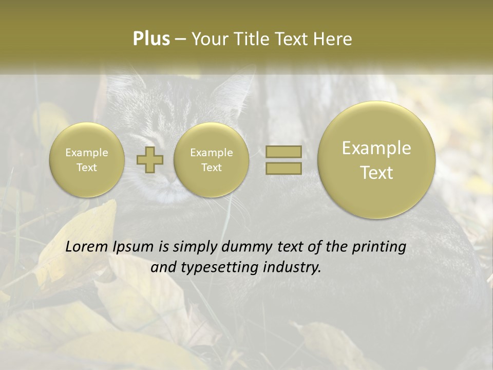 A Cat Laying On The Ground Next To A Tree PowerPoint Template