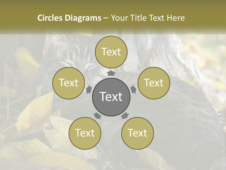 A Cat Laying On The Ground Next To A Tree PowerPoint Template