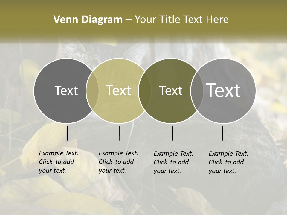 A Cat Laying On The Ground Next To A Tree PowerPoint Template