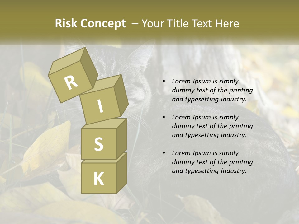 A Cat Laying On The Ground Next To A Tree PowerPoint Template