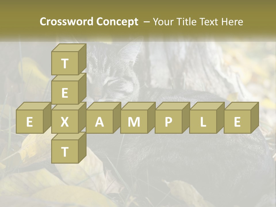 A Cat Laying On The Ground Next To A Tree PowerPoint Template