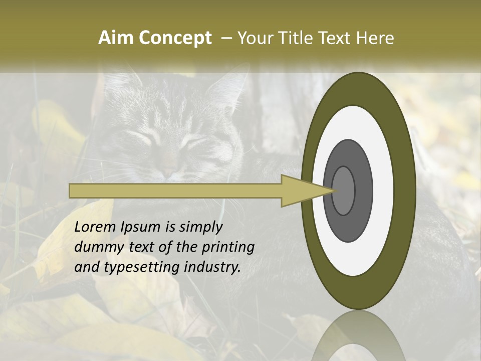 A Cat Laying On The Ground Next To A Tree PowerPoint Template