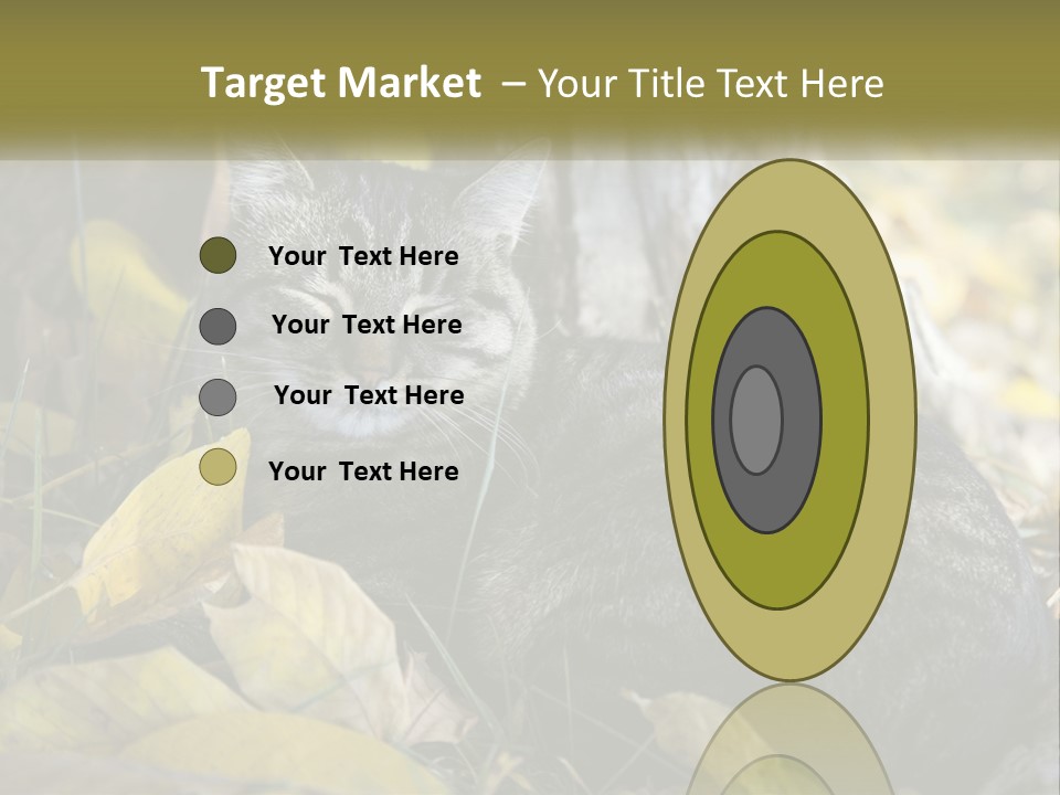 A Cat Laying On The Ground Next To A Tree PowerPoint Template