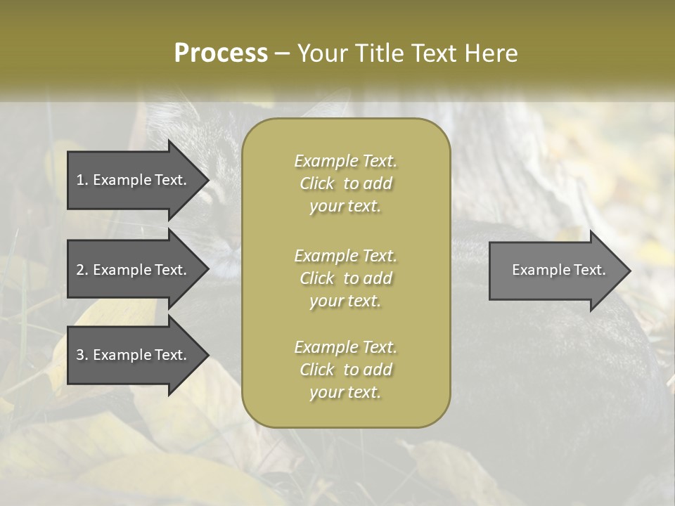 A Cat Laying On The Ground Next To A Tree PowerPoint Template