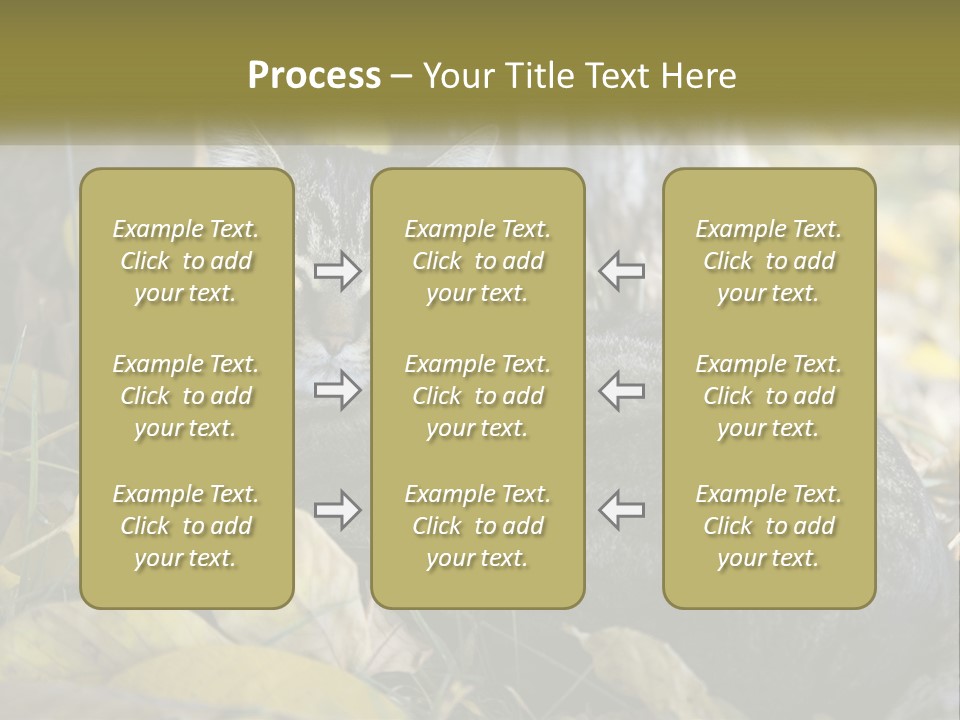 A Cat Laying On The Ground Next To A Tree PowerPoint Template