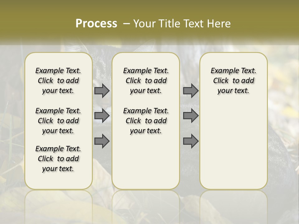 A Cat Laying On The Ground Next To A Tree PowerPoint Template