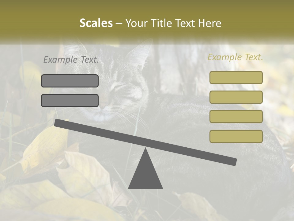 A Cat Laying On The Ground Next To A Tree PowerPoint Template