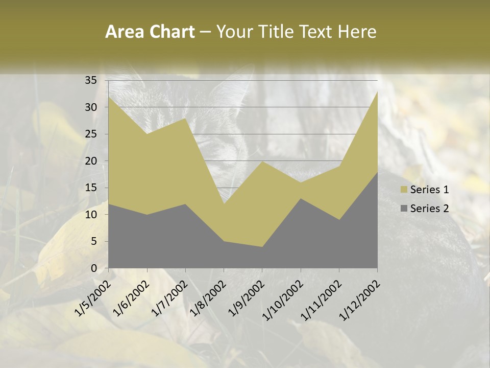 A Cat Laying On The Ground Next To A Tree PowerPoint Template
