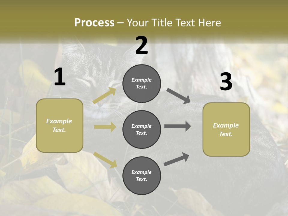 A Cat Laying On The Ground Next To A Tree PowerPoint Template