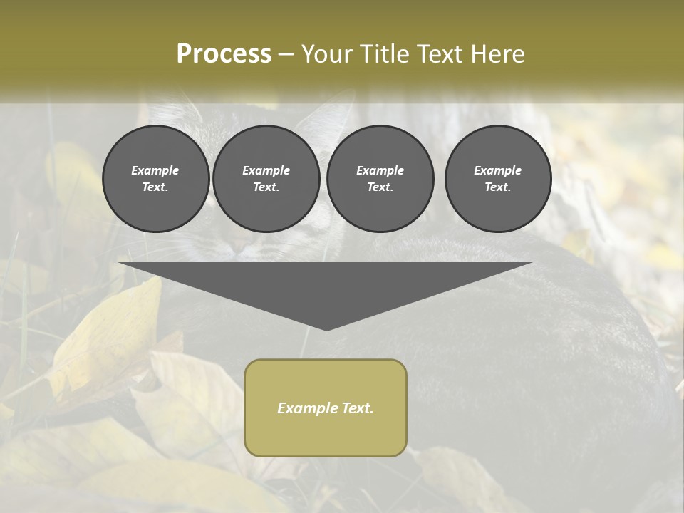 A Cat Laying On The Ground Next To A Tree PowerPoint Template