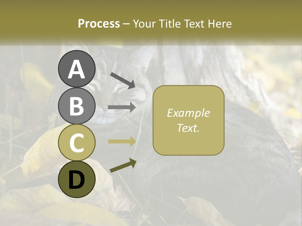 A Cat Laying On The Ground Next To A Tree PowerPoint Template