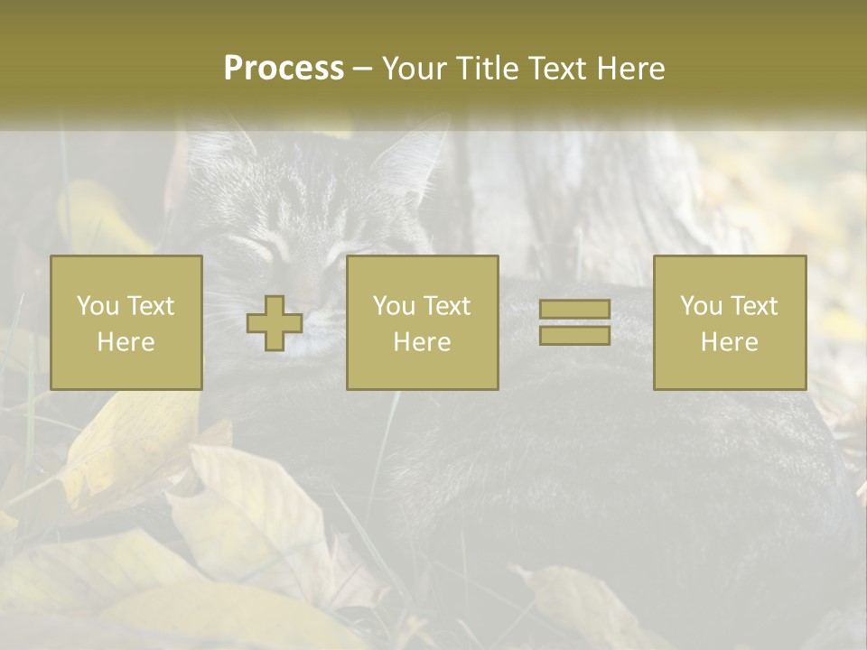 A Cat Laying On The Ground Next To A Tree PowerPoint Template