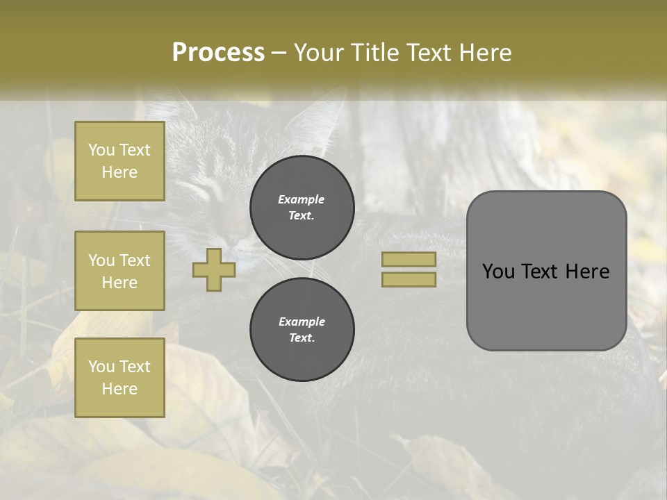 A Cat Laying On The Ground Next To A Tree PowerPoint Template