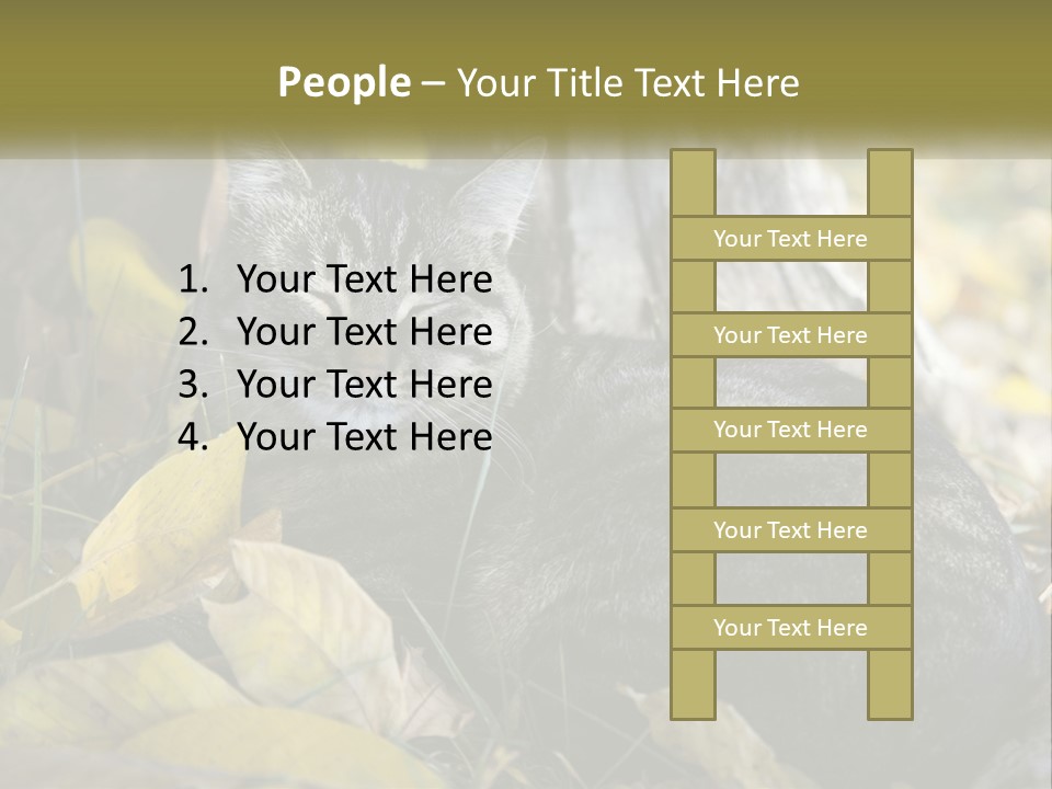 A Cat Laying On The Ground Next To A Tree PowerPoint Template